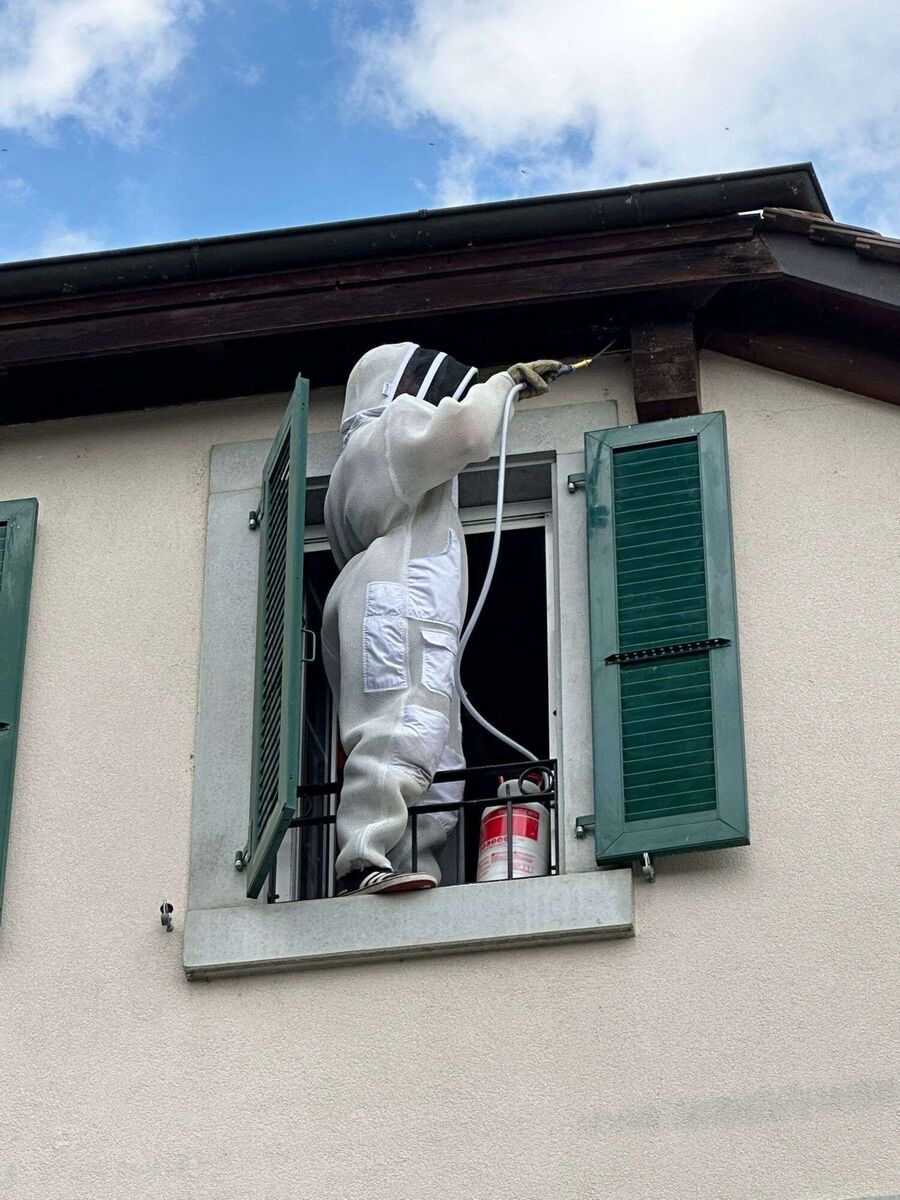 enlever un nid d abeille