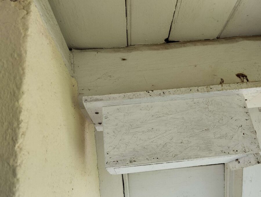 ruche abeille maison que faire