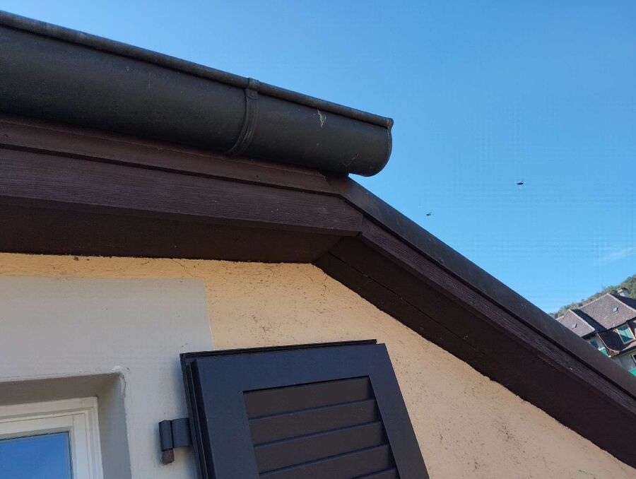 essaim d abeille enlevement