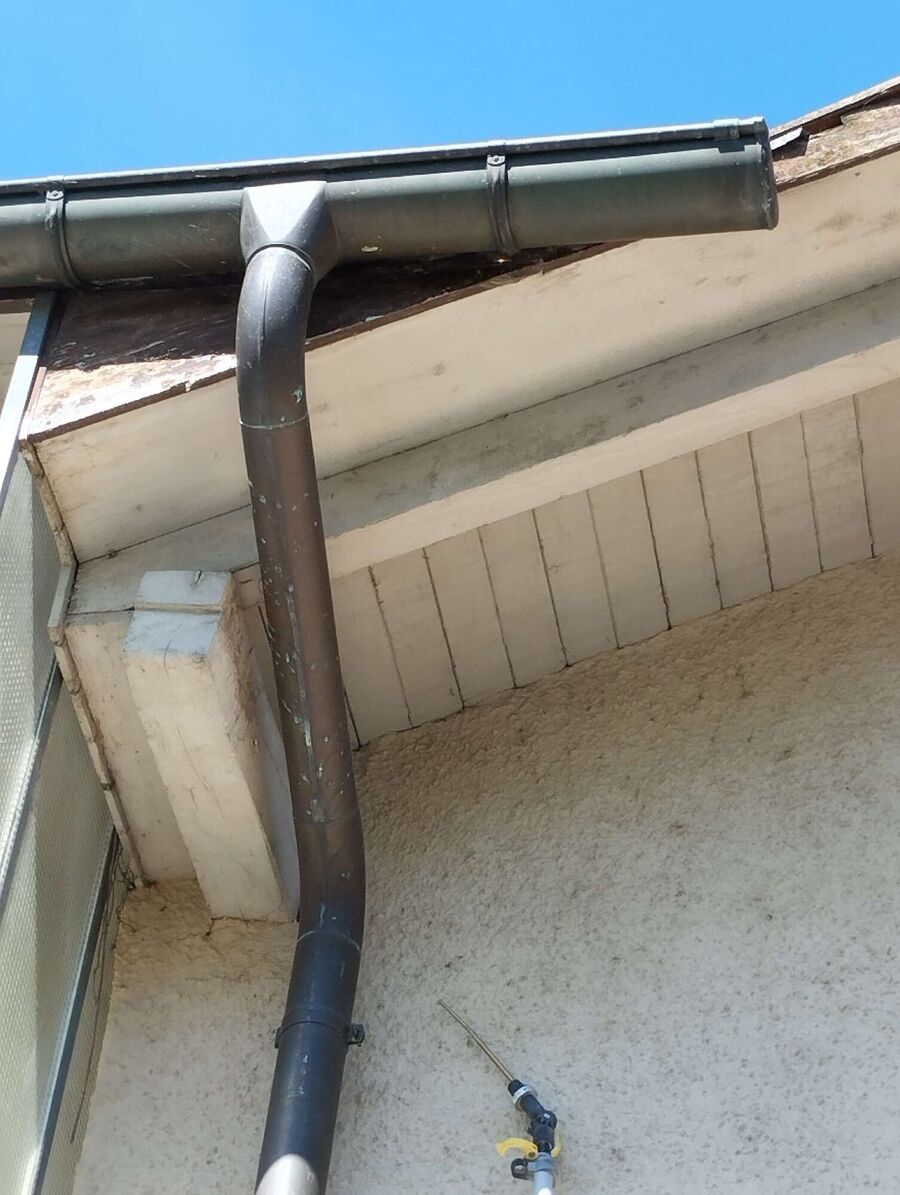 enlever un nid d abeille