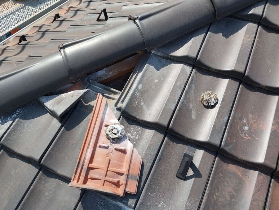 enlever un nid d abeille