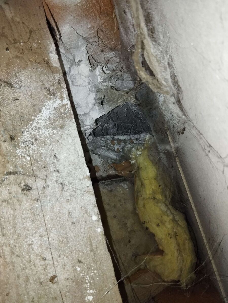 ruche abeille maison que faire