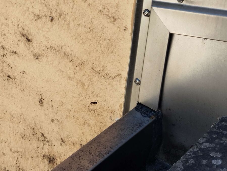 enlever un nid d abeille