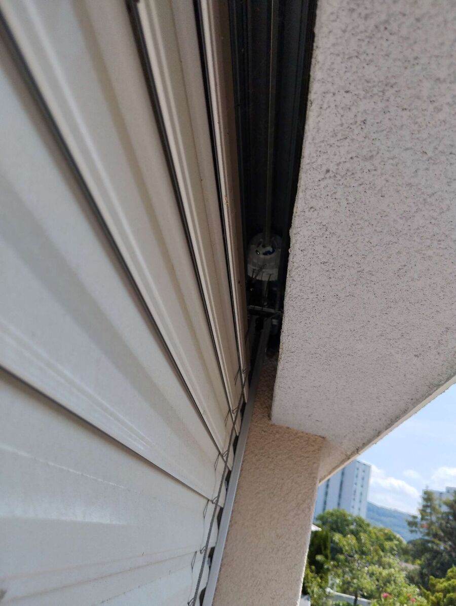 ruche abeille maison que faire