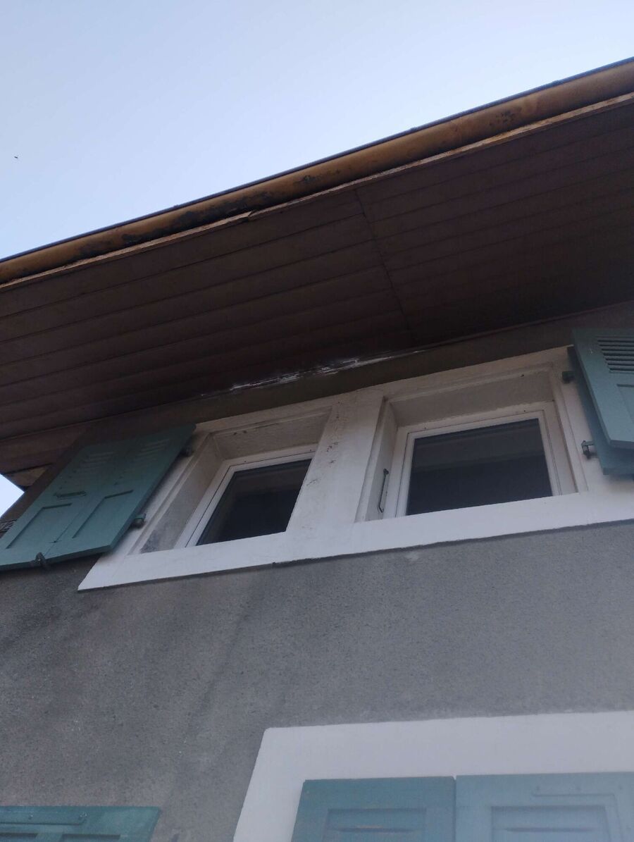 ruche abeille maison que faire