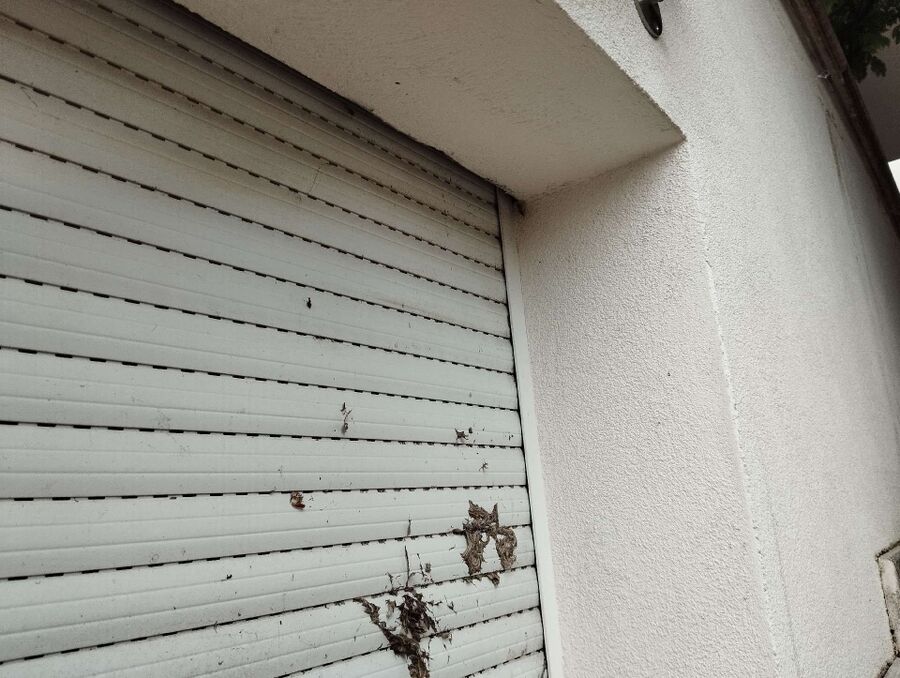 nid d abeille que faire