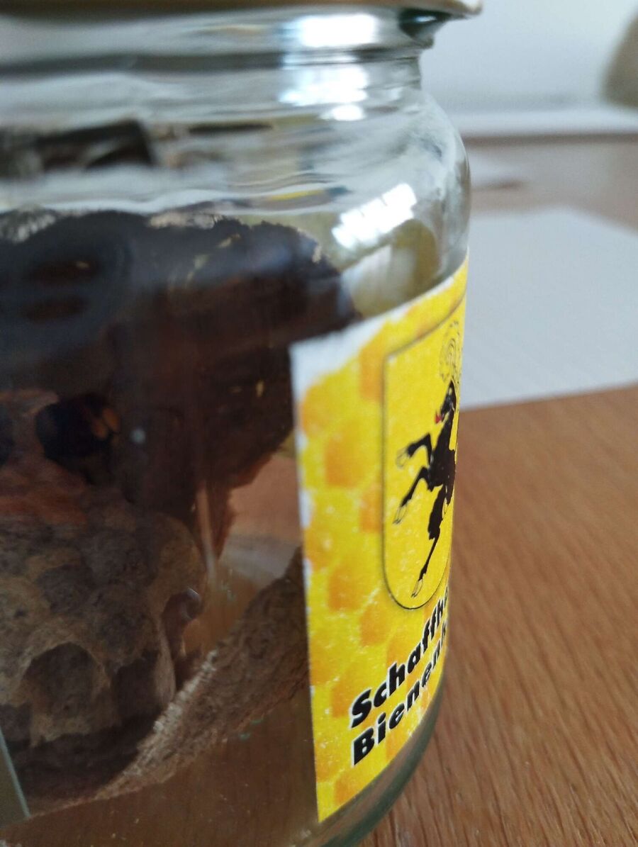 nid d abeille que faire