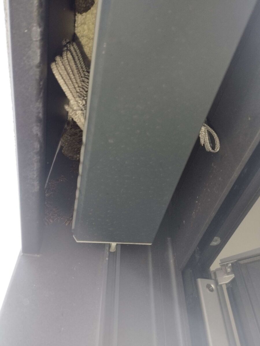 ruche abeille maison que faire