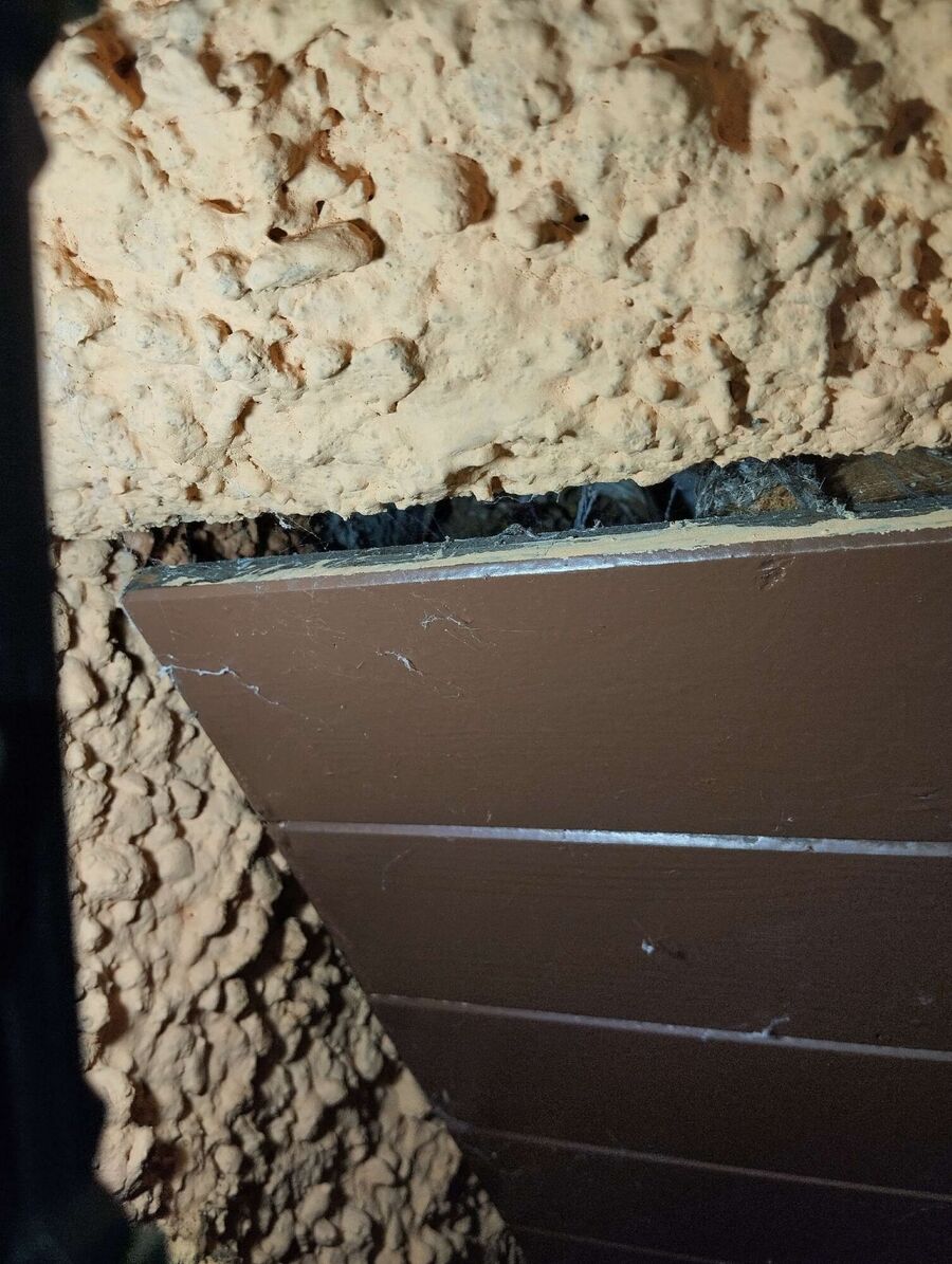 nid d abeille que faire