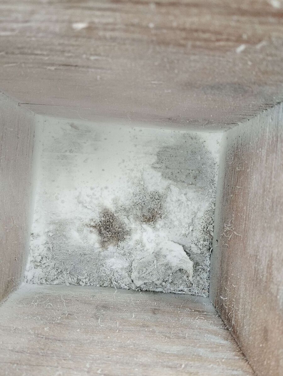 ruche abeille maison que faire