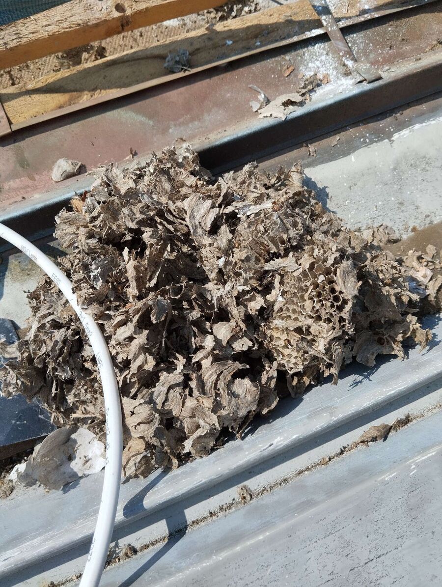 enlever un nid d abeille