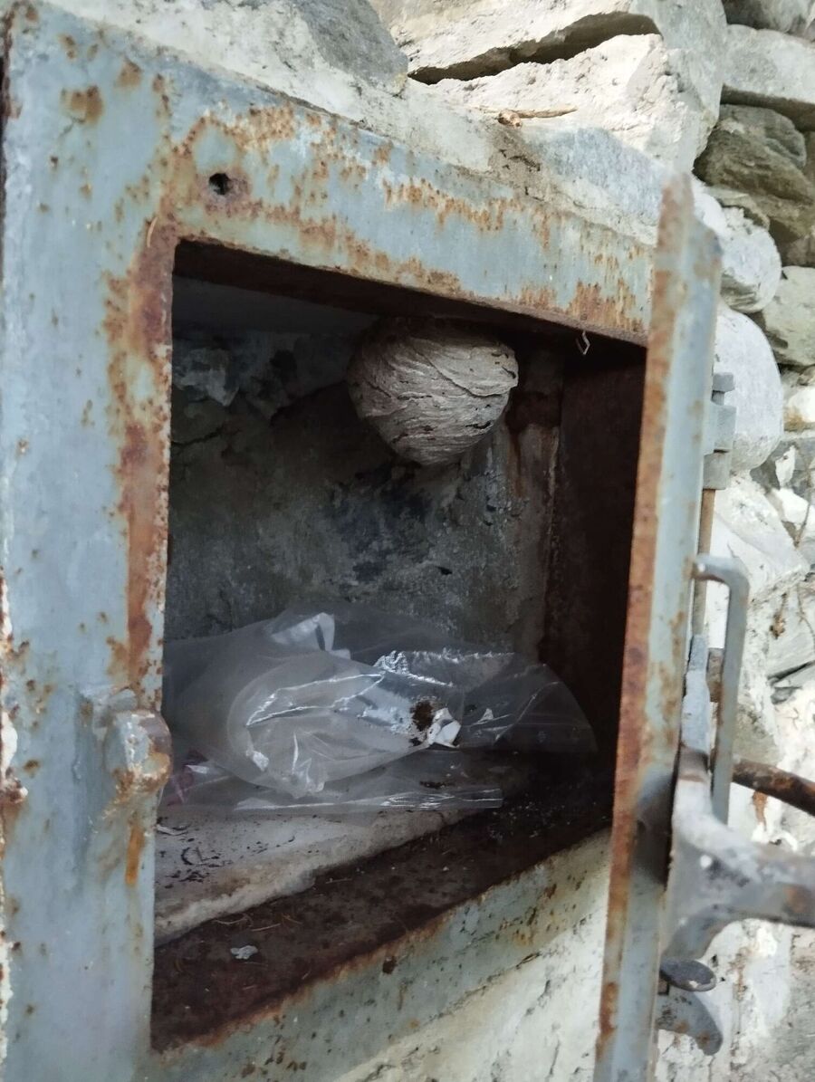 nid d abeille que faire