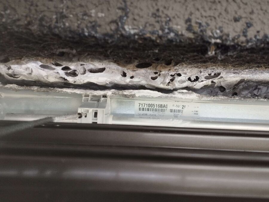 essaim d abeille enlevement