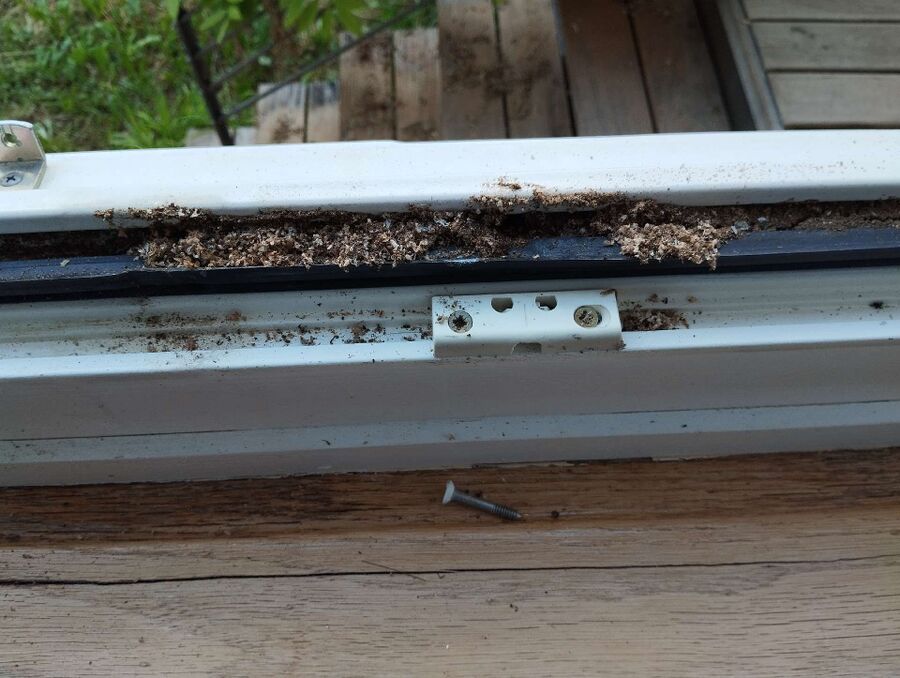 enlever un nid d abeille