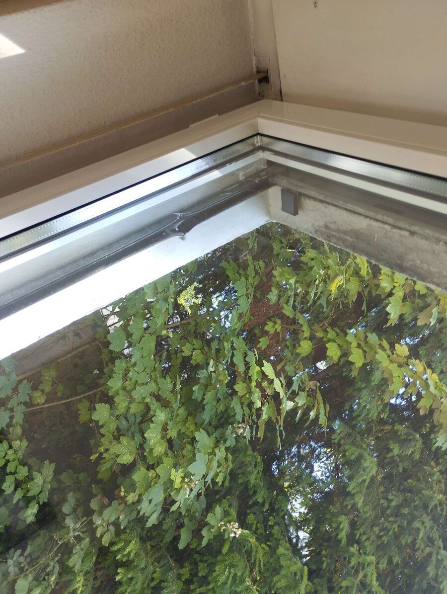 essaim d abeille enlevement