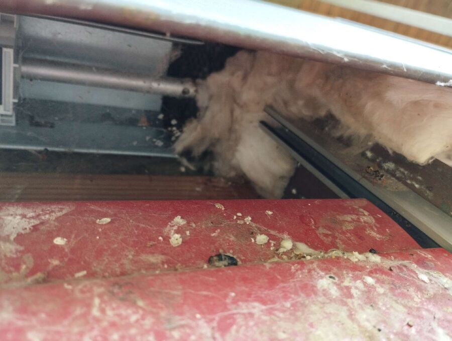 enlever un nid d abeille