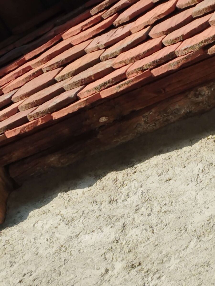 nid d abeille que faire