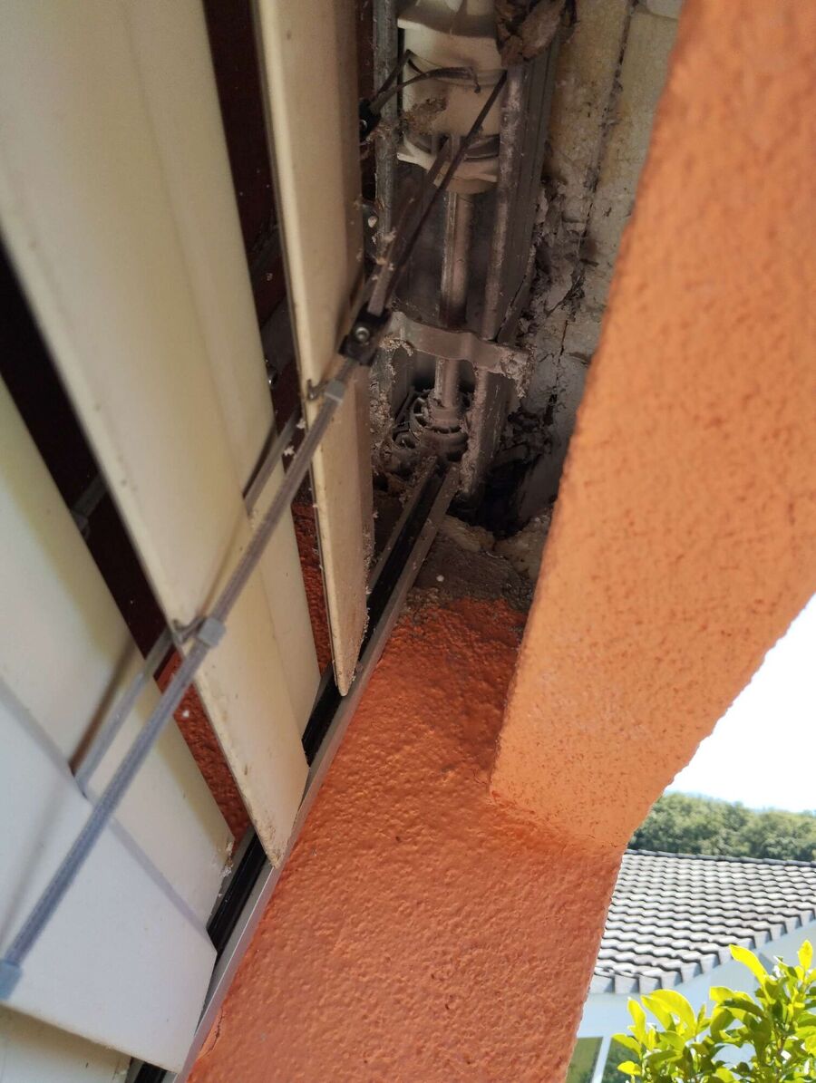 ruche abeille maison que faire