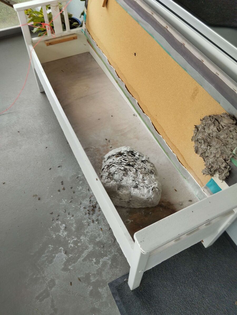 nid d abeille que faire