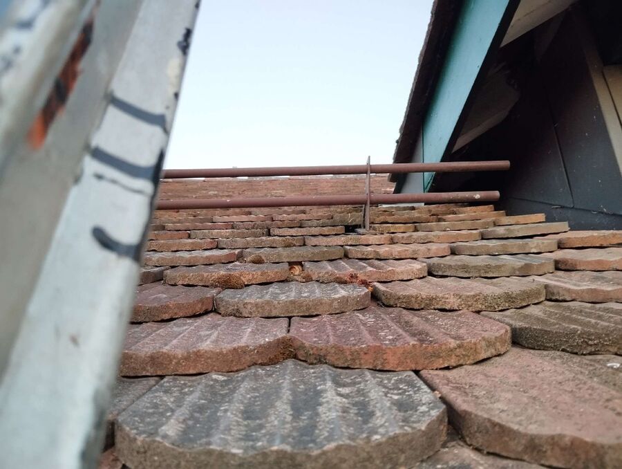 essaim d abeille enlevement