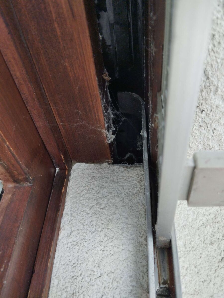 nid d abeille que faire