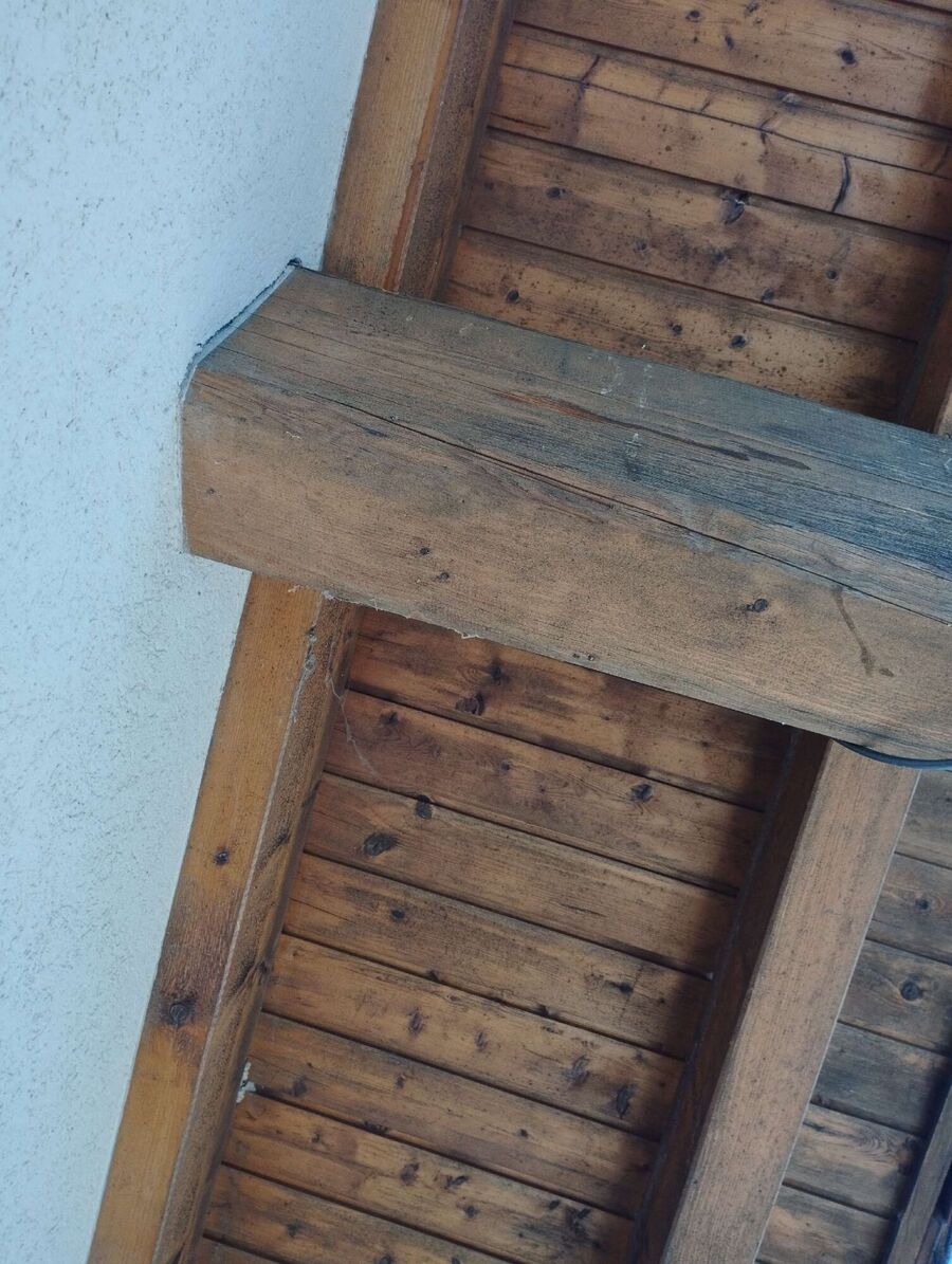 ruche abeille maison que faire