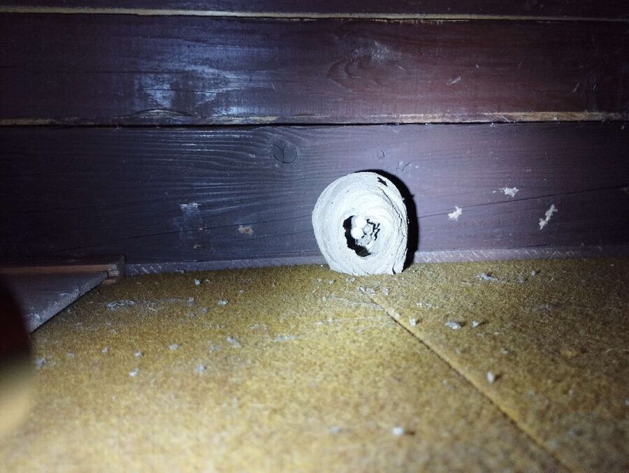 enlever un nid d abeille