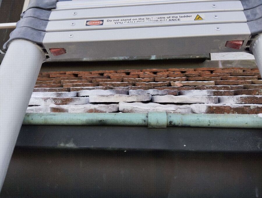 essaim d abeille enlevement