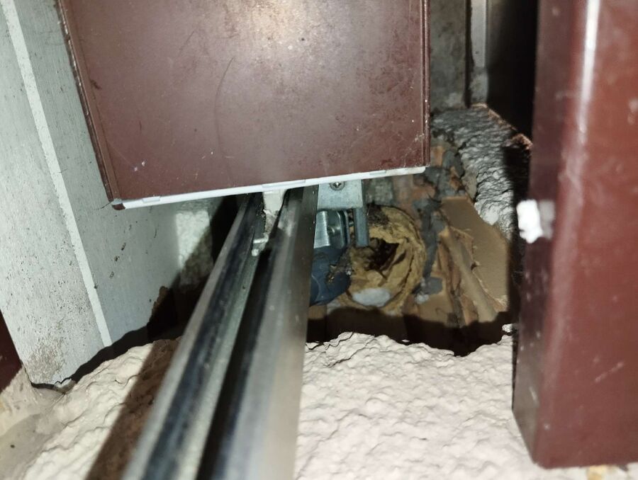 nid d abeille que faire