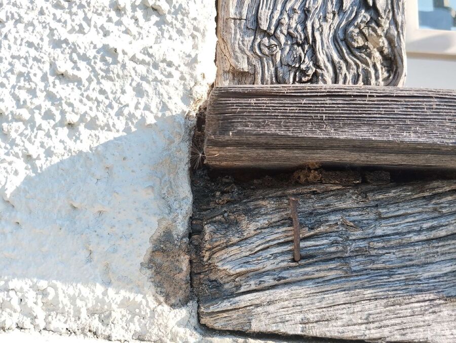 essaim d abeille enlevement