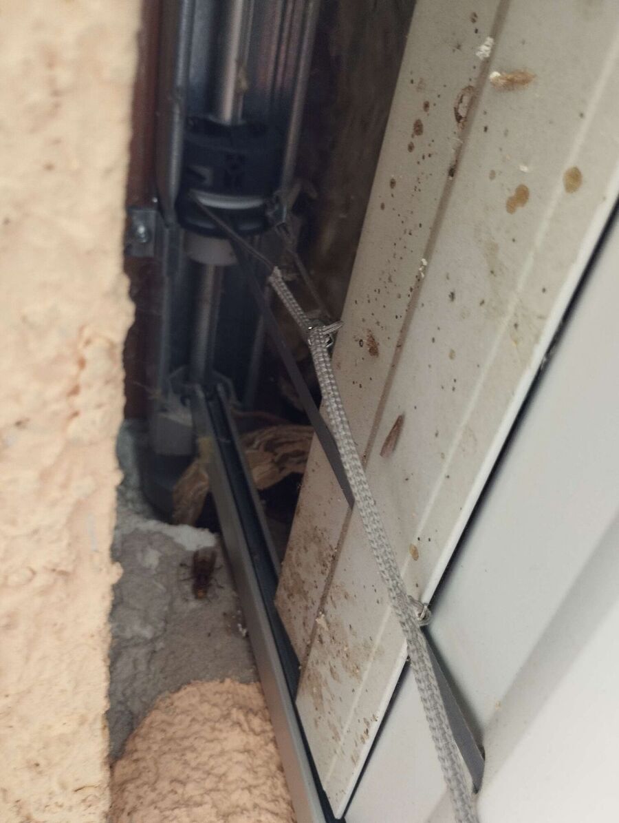 enlever un nid d abeille