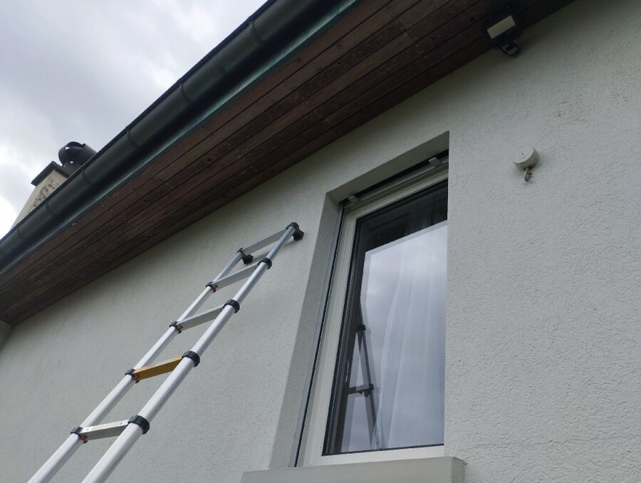 ruche abeille maison que faire