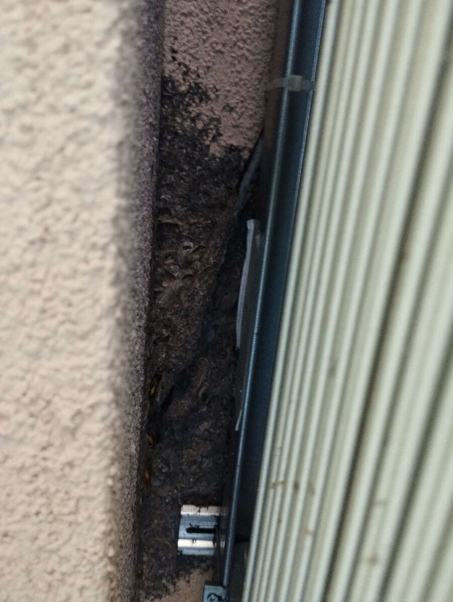 nid d abeille que faire