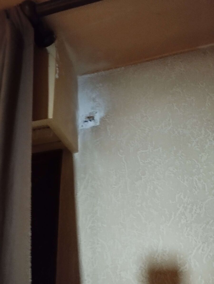 ruche abeille maison que faire