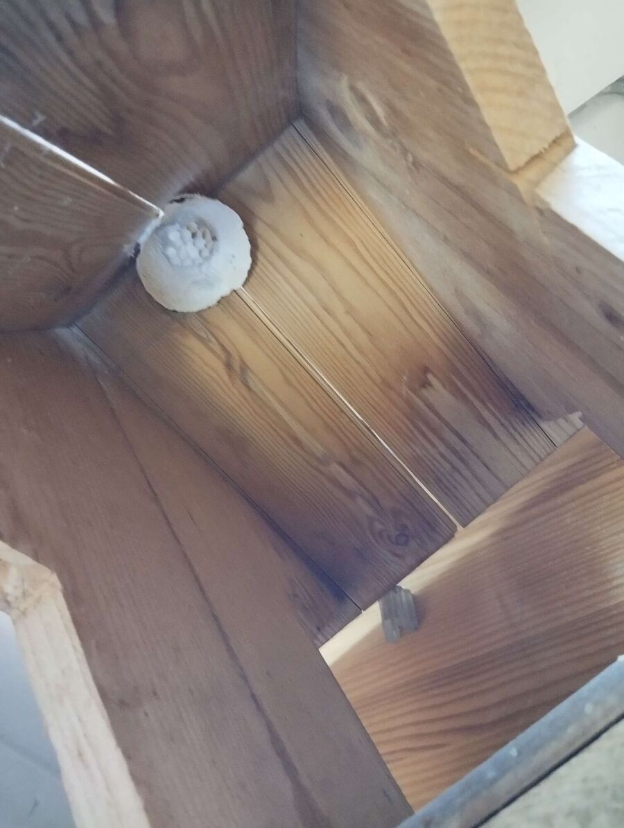 enlever un nid d abeille