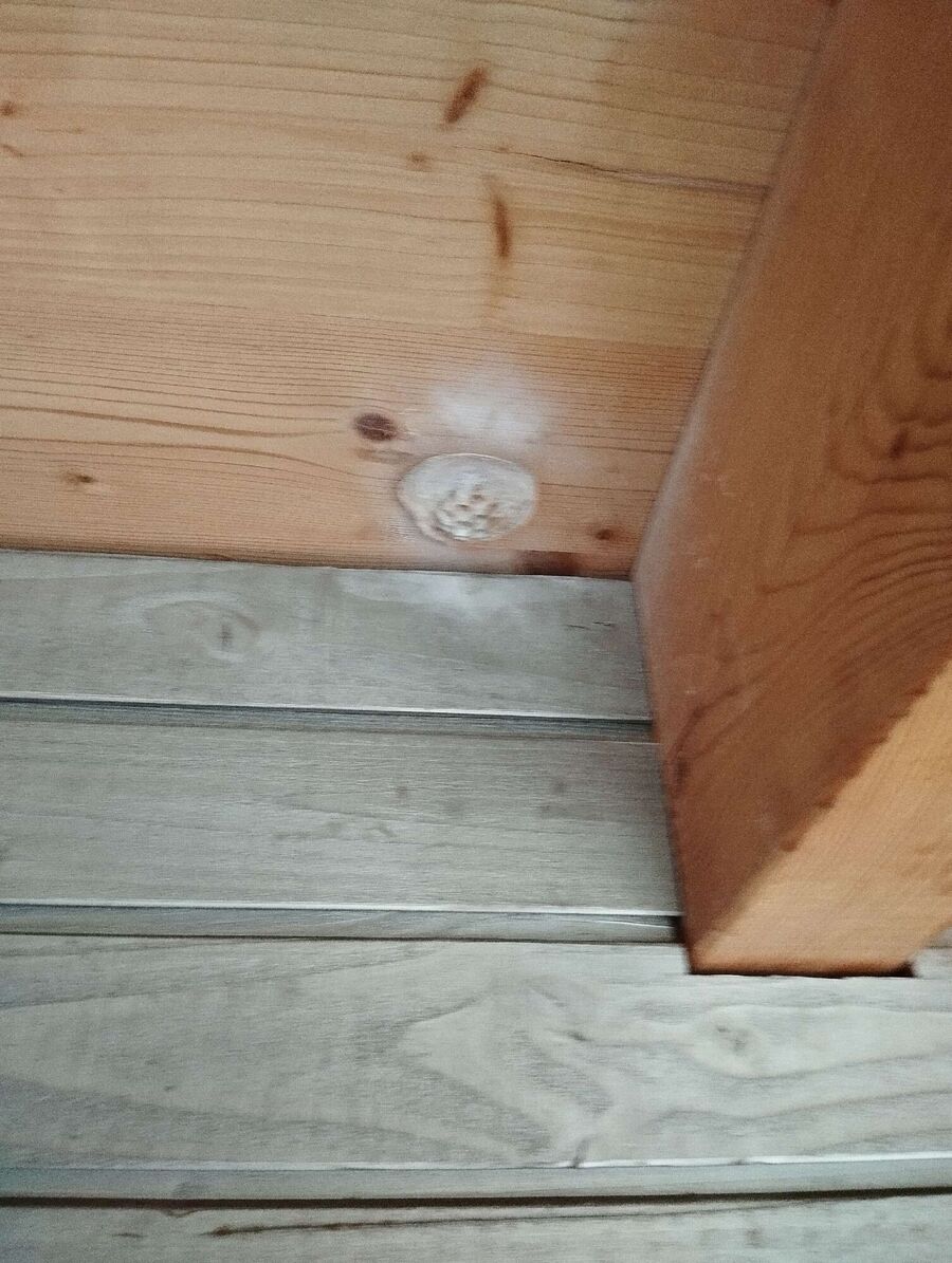 ruche abeille maison que faire