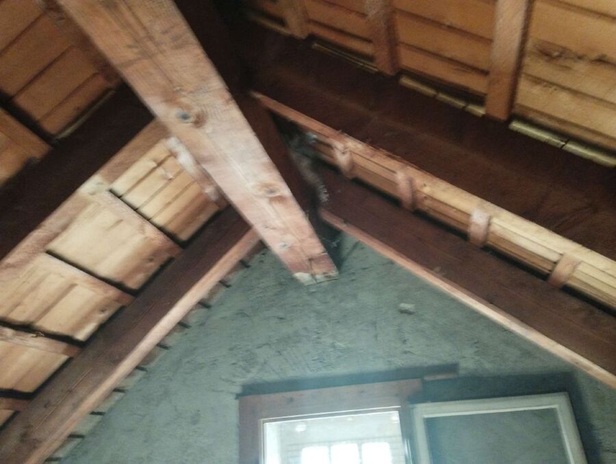 nid d abeille que faire