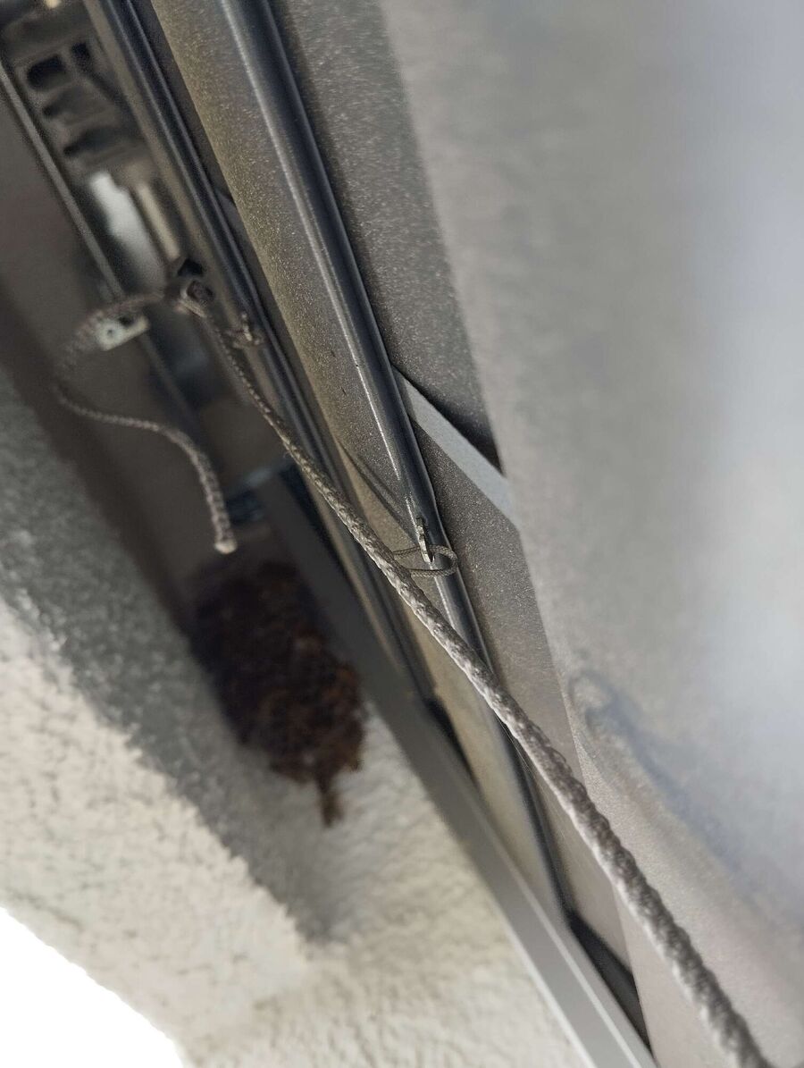 enlever un nid d abeille