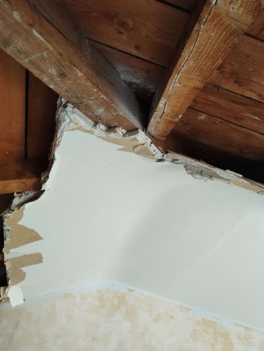 ruche abeille maison que faire