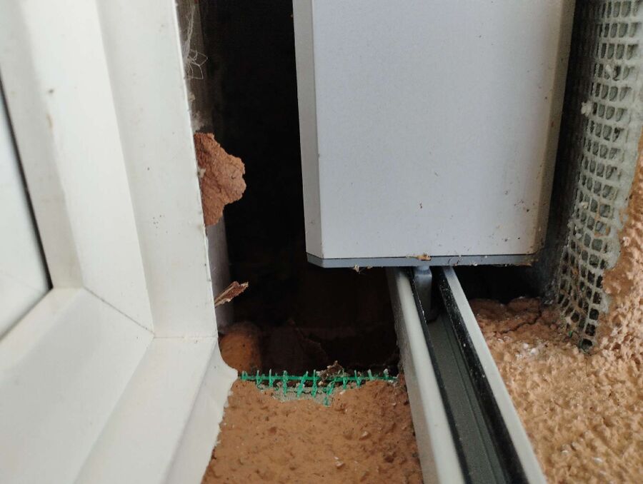 essaim d abeille enlevement