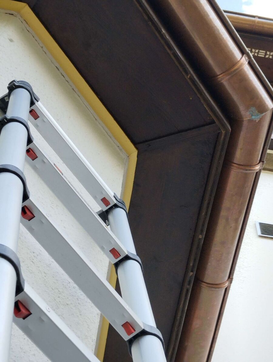 nid d abeille que faire