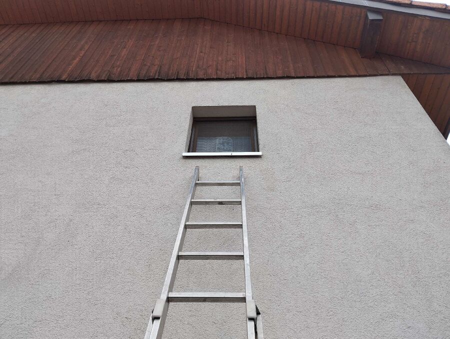 essaim d abeille enlevement