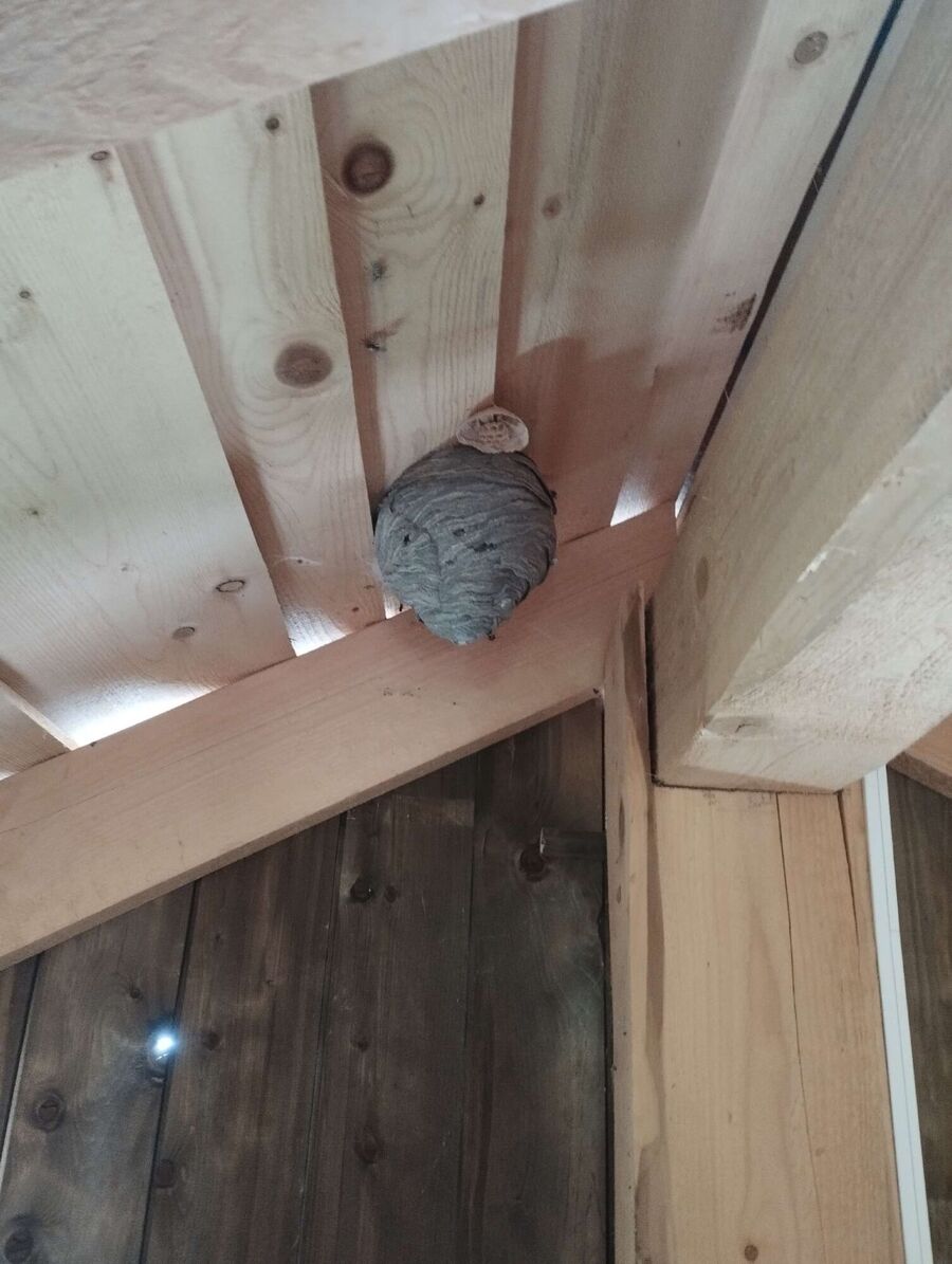 enlever un nid d abeille