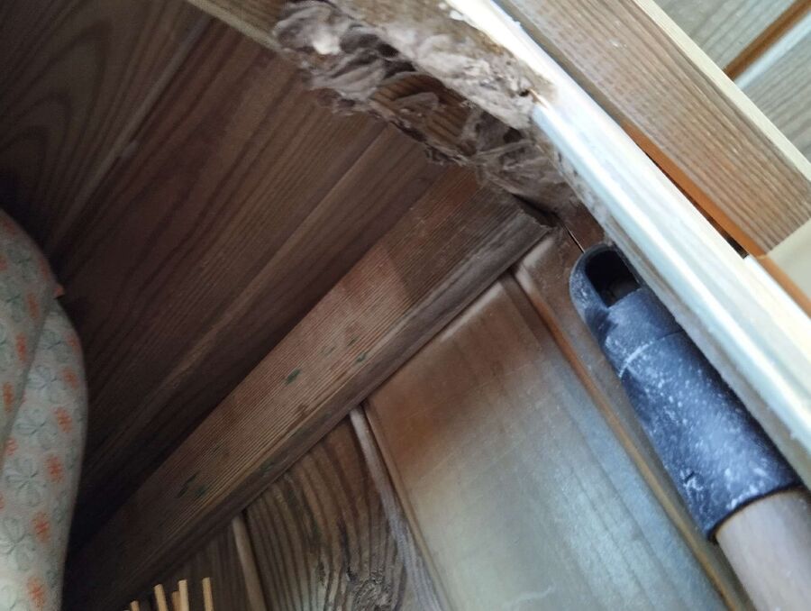 nid d abeille que faire