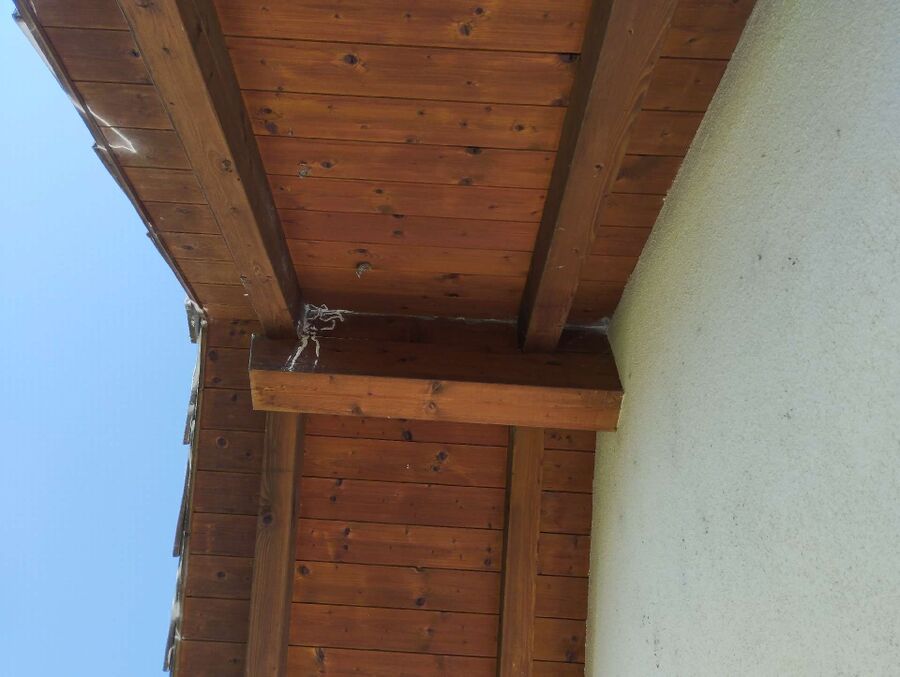 enlever un nid d abeille