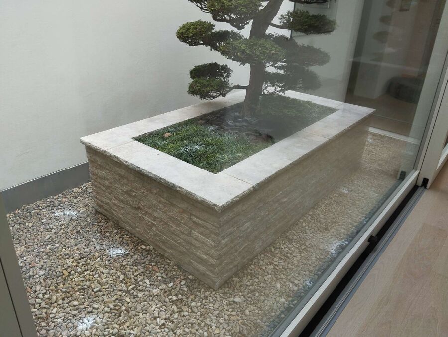 ruche abeille maison que faire