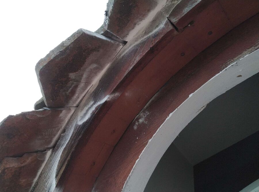 essaim d abeille enlevement