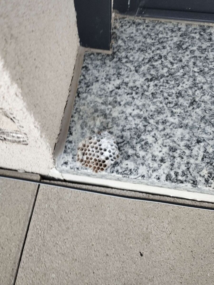 enlever un nid d abeille