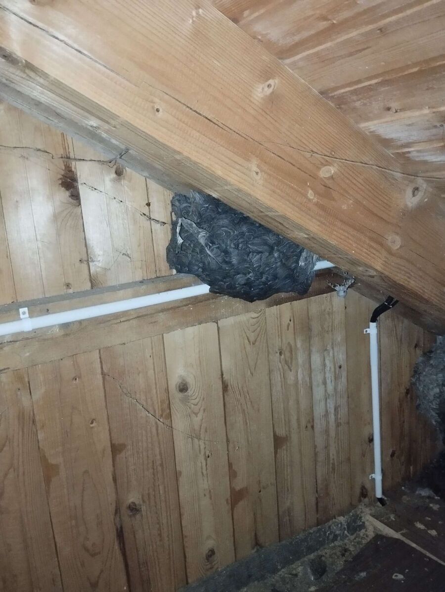 enlever un nid d abeille