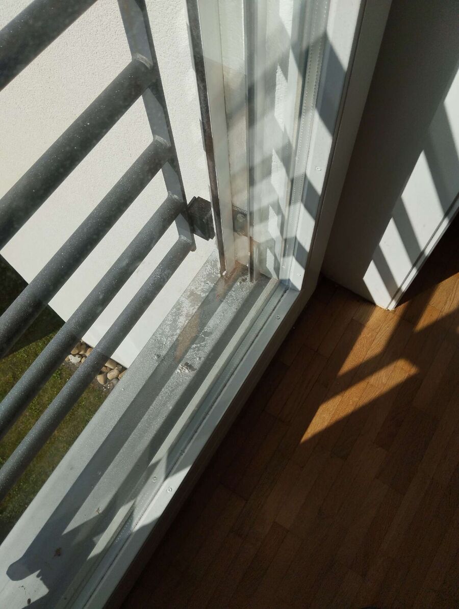 ruche abeille maison que faire